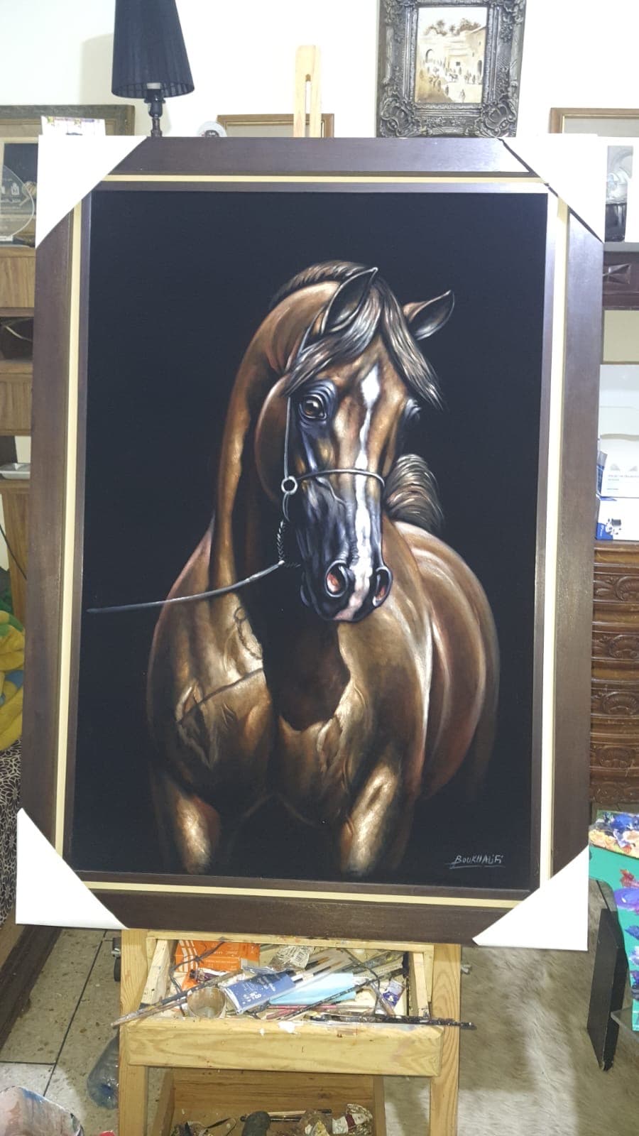 Cheval Bai, Regard Fier — Boukhalifi