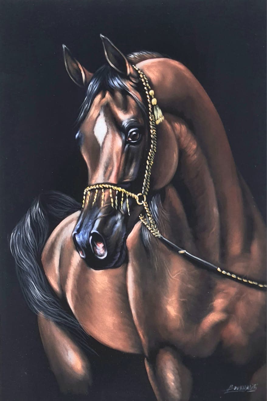 Cheval Arabe à la Parure Dorée — Boukhalifi