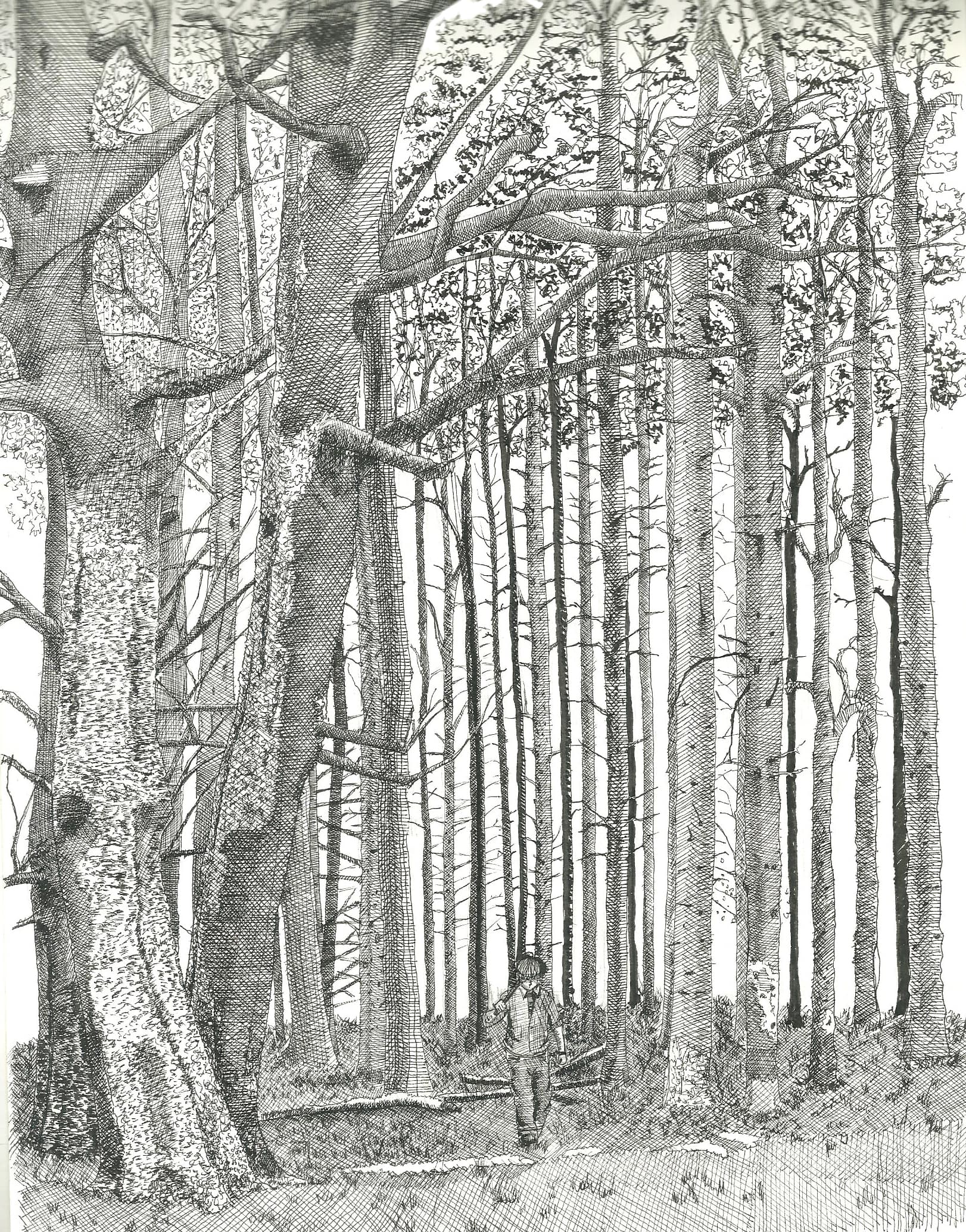 Forest — Mouad Elbaze