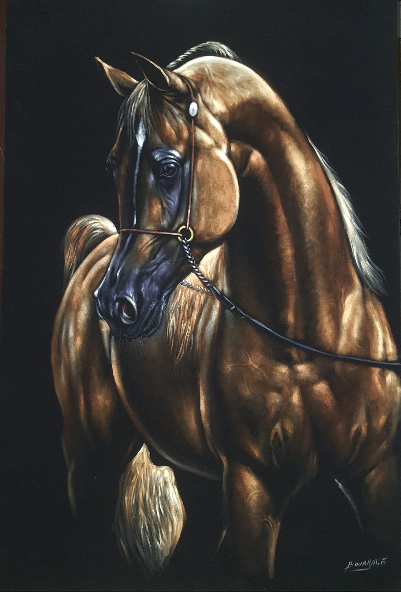Élégance Alezane — Boukhalifi