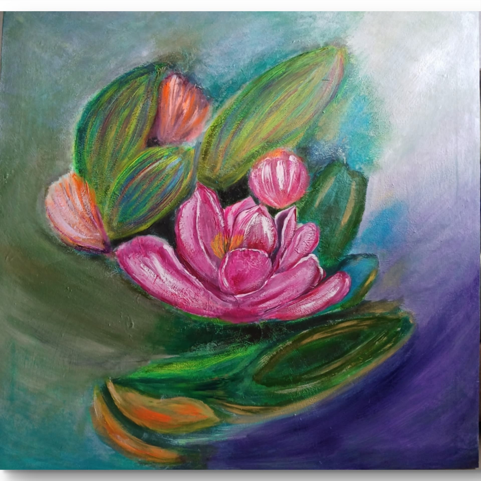 Lotus — Safia