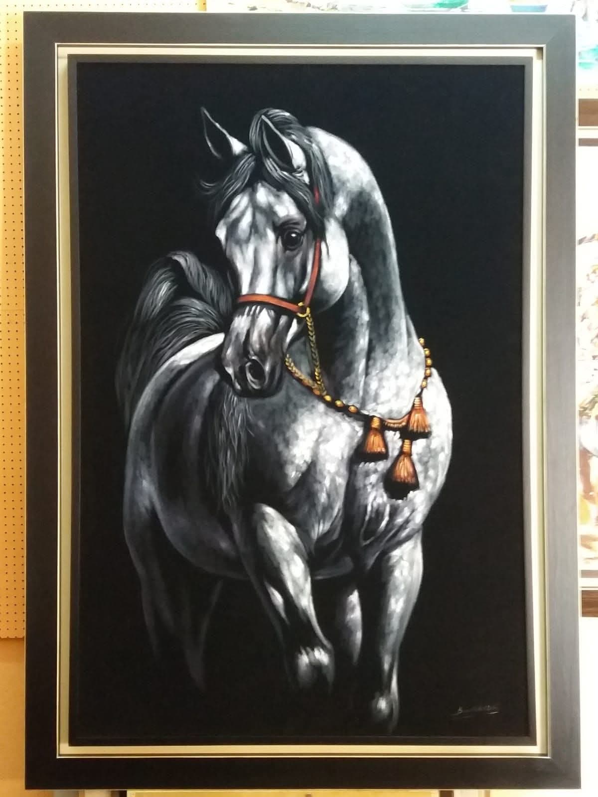 Cheval Gris Pommelé en Parade — Boukhalifi