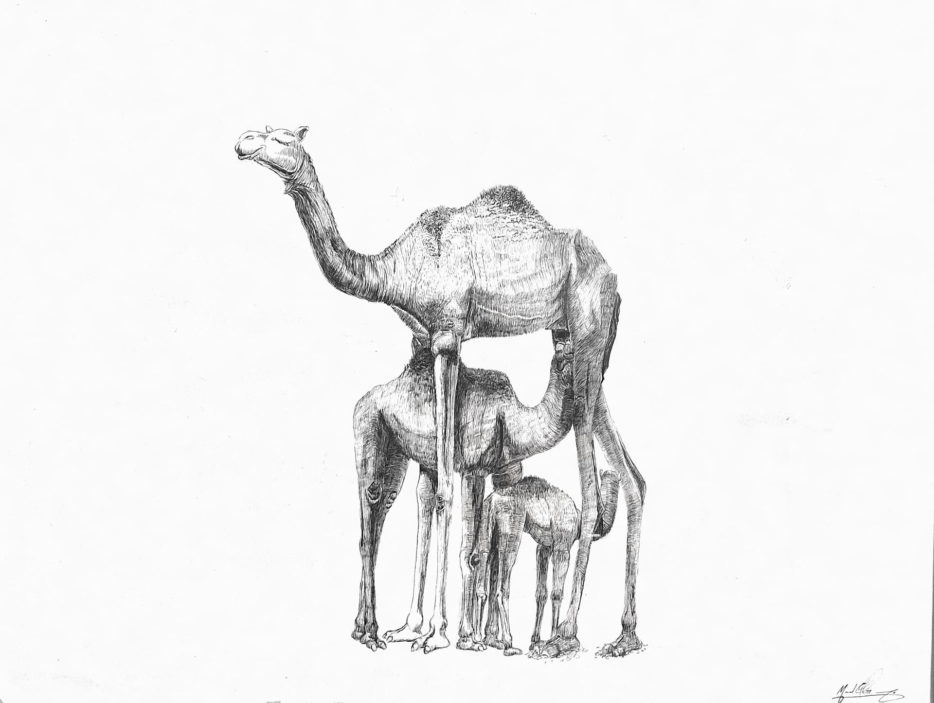 Mothers — Mouad Elbaze