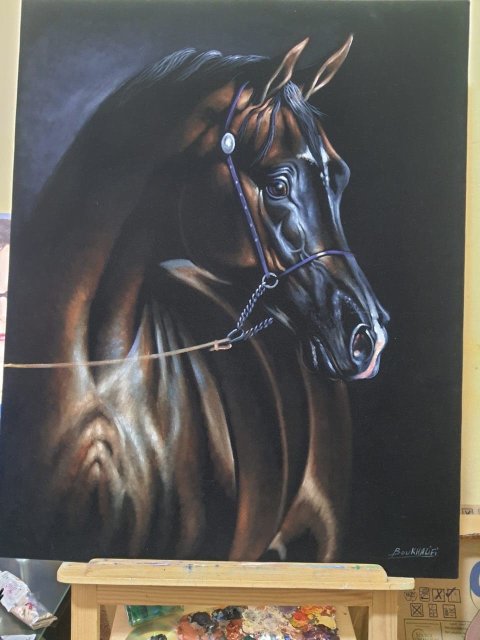 Cheval Noir, Souffle du Désert — Boukhalifi