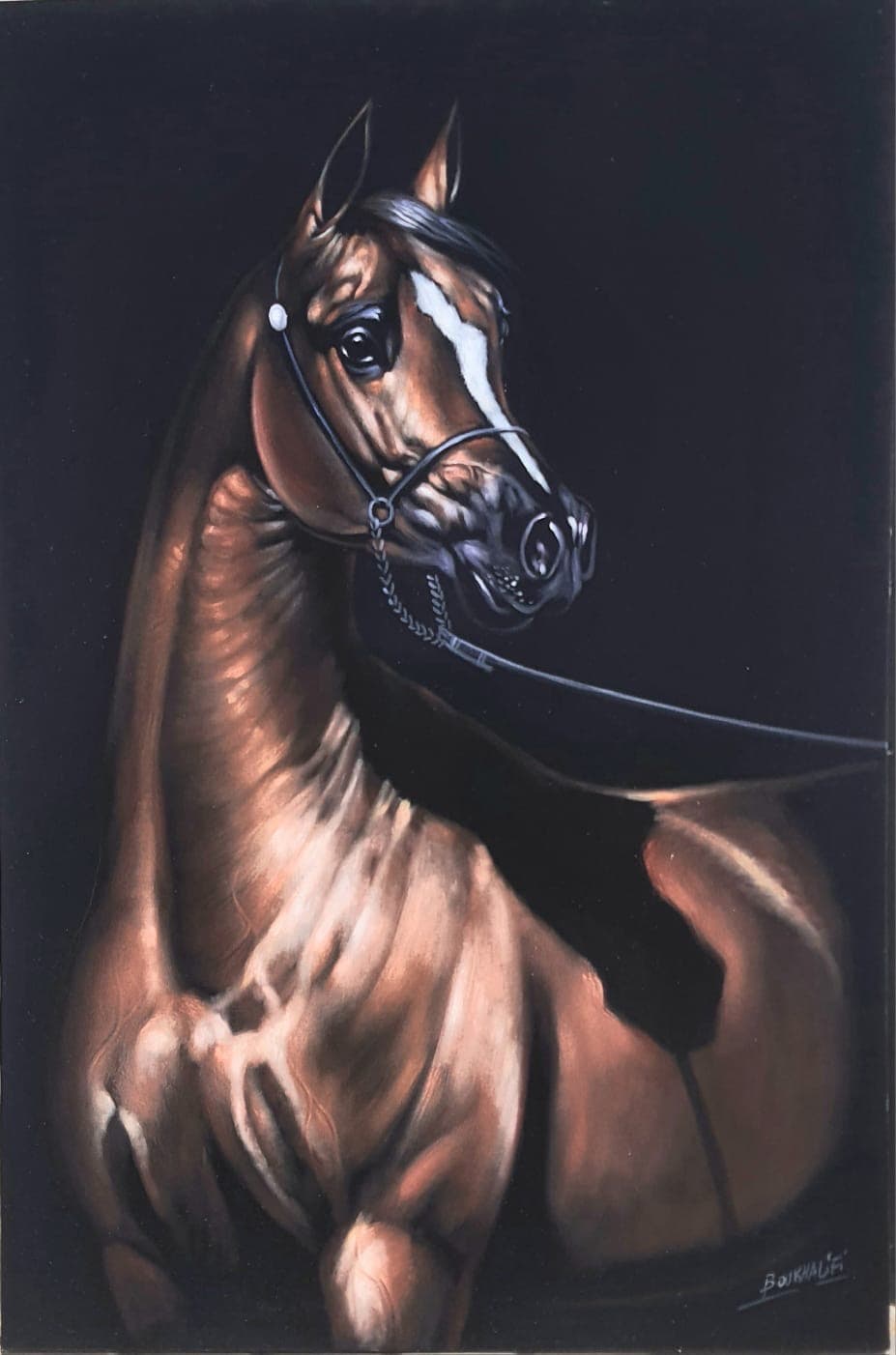 Noblesse Équine — Boukhalifi