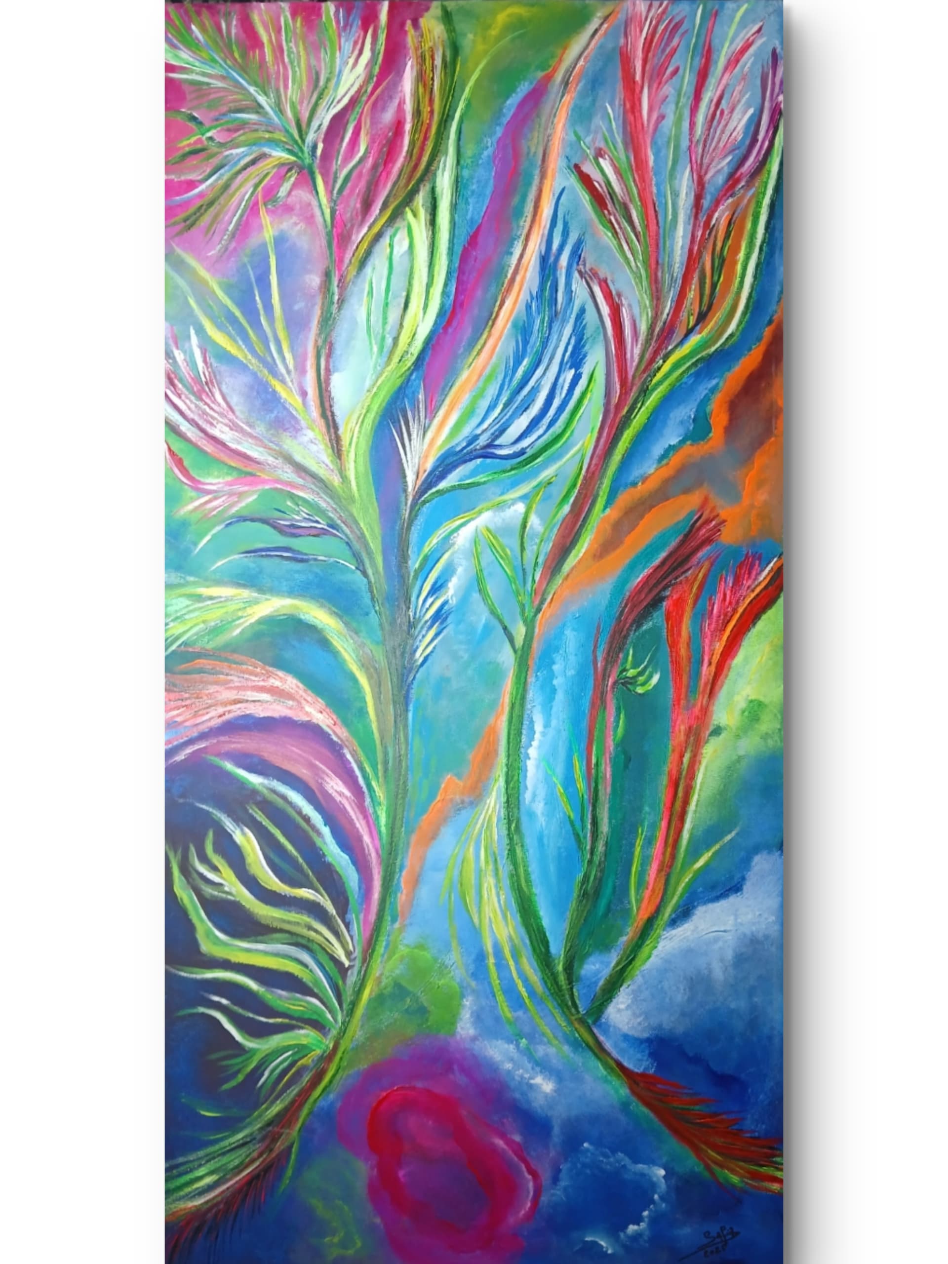 Dance des couleurs — Safia