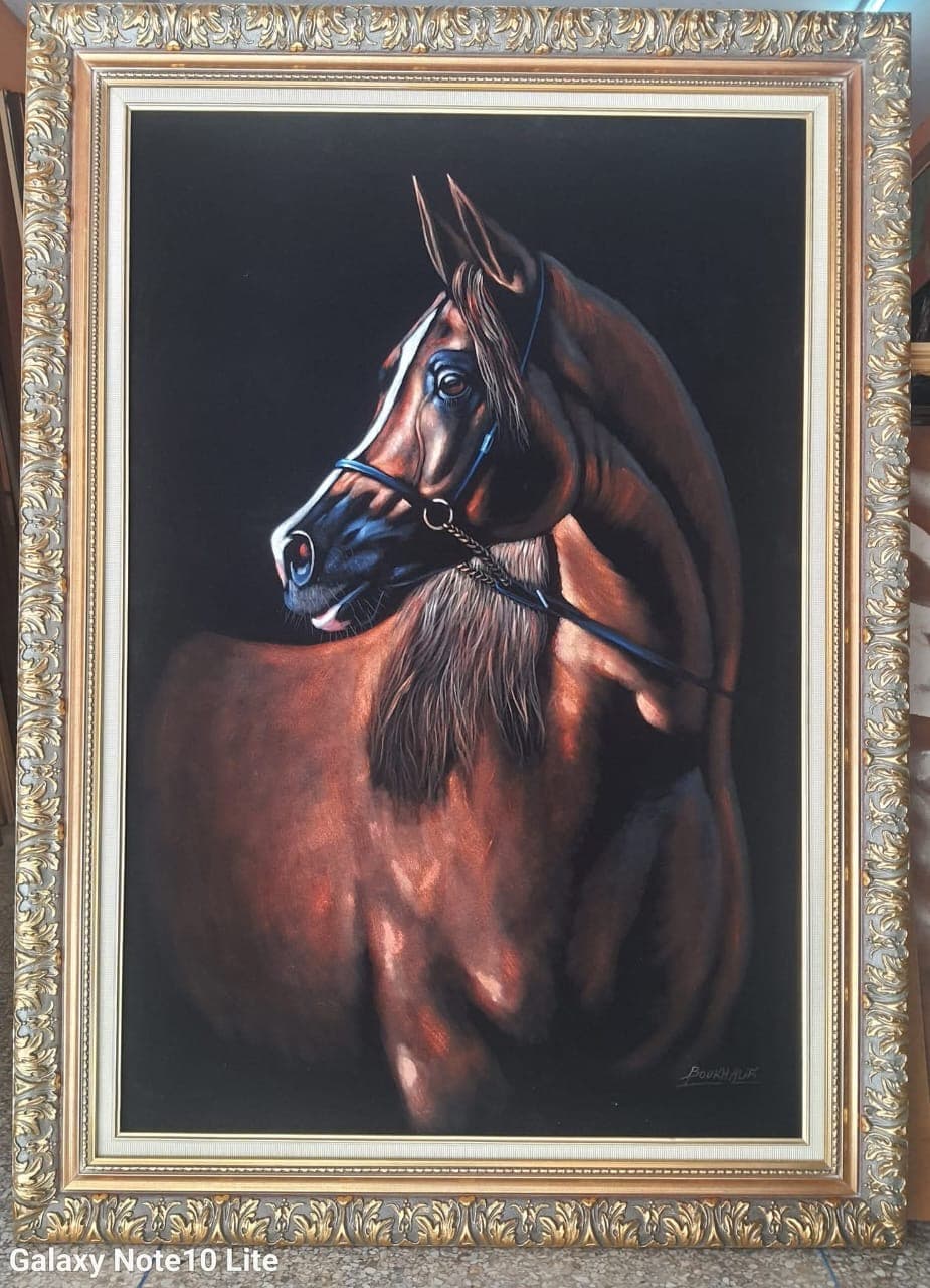 Portrait d'un Pur-Sang Arabe — Boukhalifi